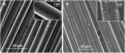 Highly Conductive Poly(3,4-ethylenedioxythiophene) Polystyrene Sulfonate Polymer Coated Cathode for the Microbial Electrosynthesis of Acetate From Carbon Dioxide